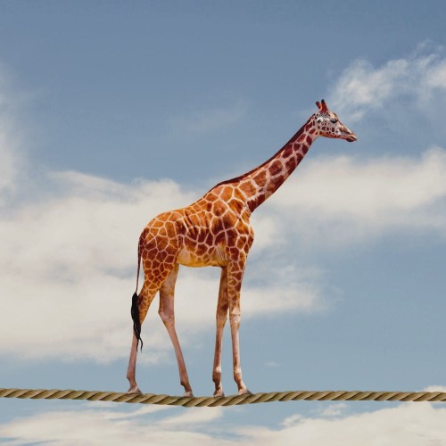 Jak-radzic-sobie-z-emocjami-2 (1).jpg