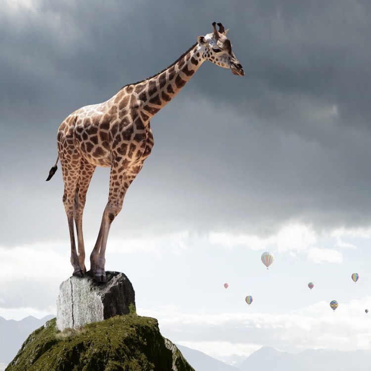 Trening-asertywnosci (1).jpg