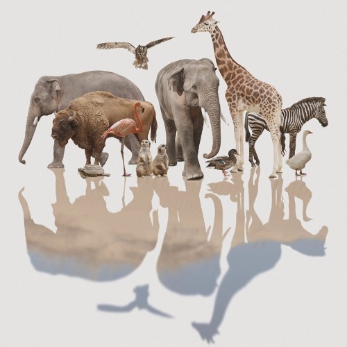 Trening-interpersonalny (1).jpg