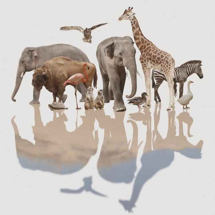 Trening-interpersonalny (1).jpg